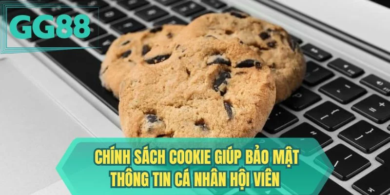 Chính sách cookie giúp bảo mật thông tin cá nhân hội viên