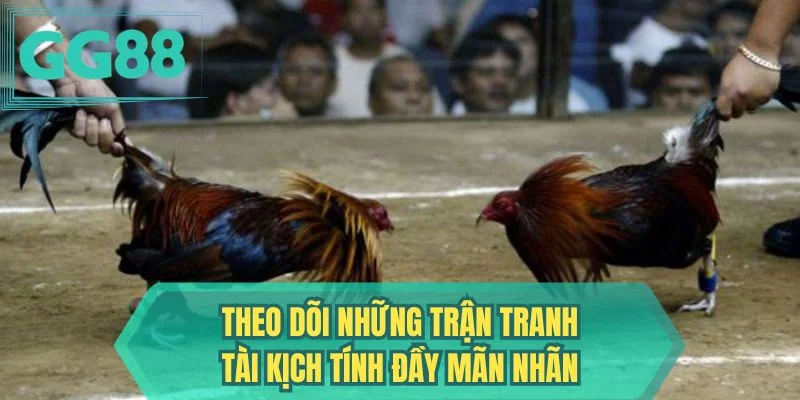 Theo dõi những trận tranh tài kịch tính đầy mãn nhãn