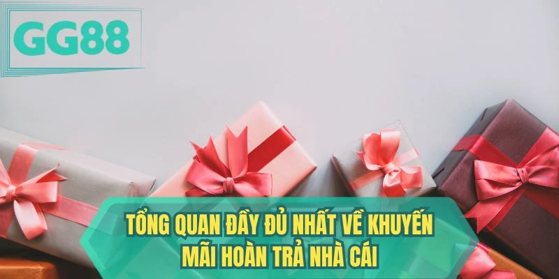 Tổng quan đầy đủ nhất về khuyến mãi hoàn trả nhà cái